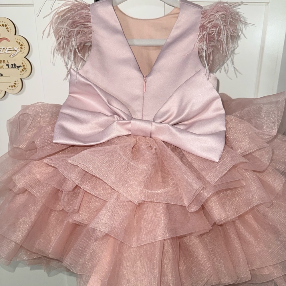 Pink Layered Dress with Bow and Feather Details